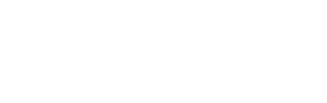 NetSec – Security Systems & IT Solutions Saudi Arabia